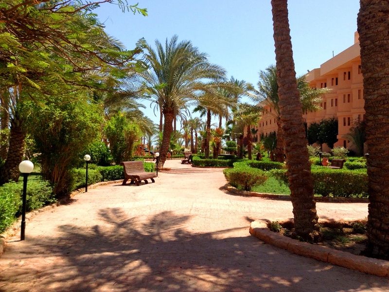 Hôtel Giftun Azur Resort 3* pas cher photo 27