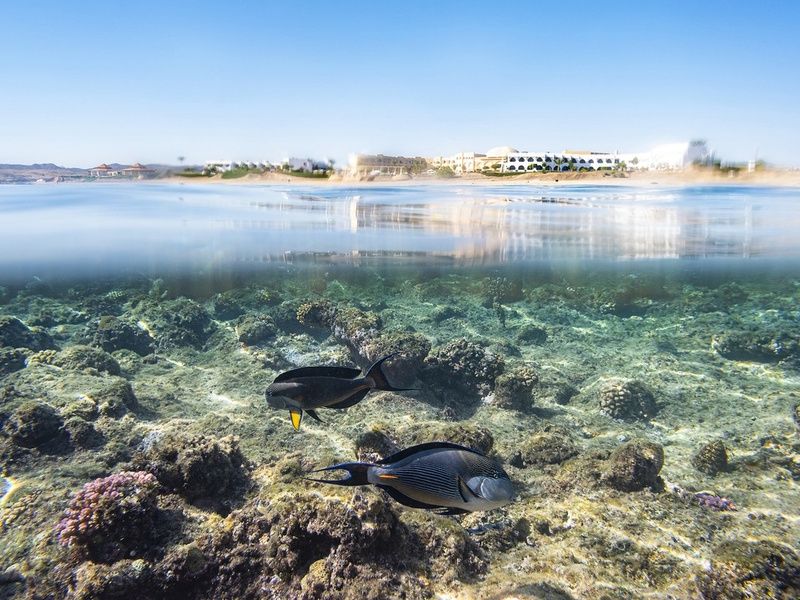 Three Corners Equinox Beach Resort 4* pas cher