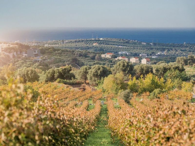 Grecotel Caramel Boutique Resort 5* pas cher photo 16