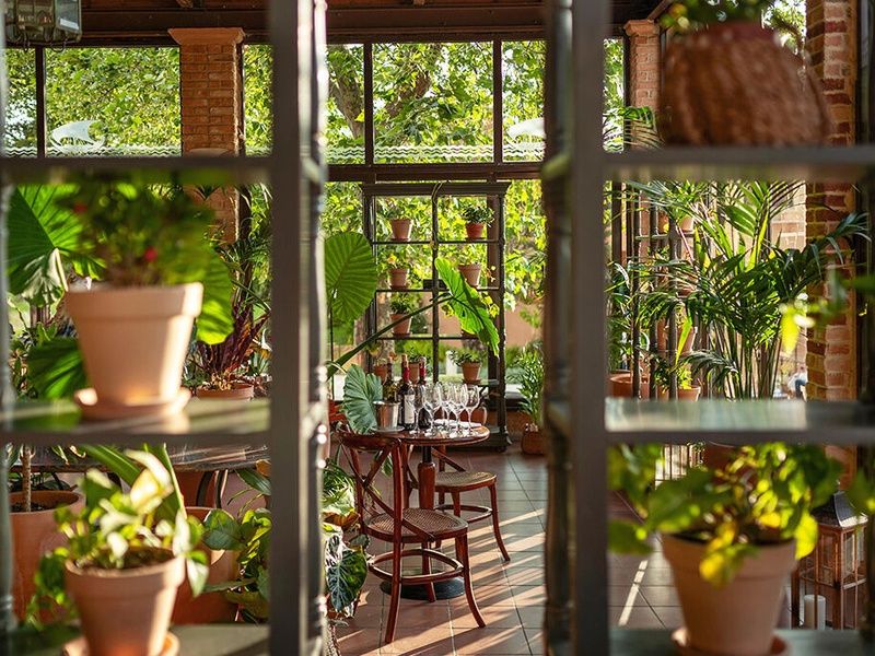 Grecotel LUXME® Costa Botanica 5* pas cher photo 13