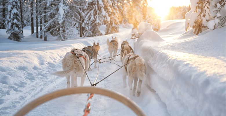 Hôtel Pite Havsbad - Séjour au coeur de la Laponie Suédoise pas cher photo 3