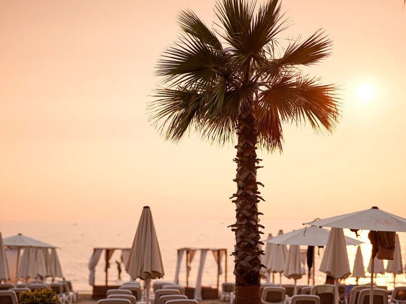 Ôclub Zen Royal G Max 5* pas cher photo 13