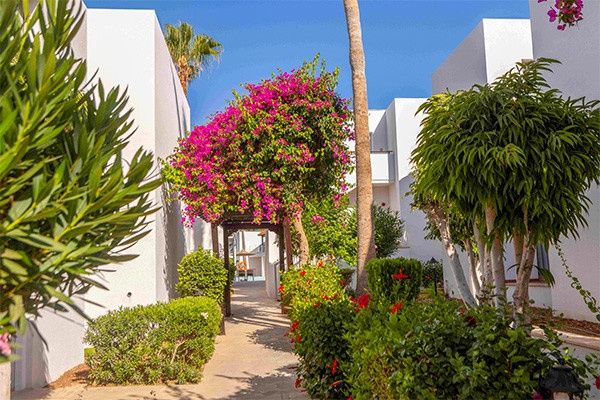 Hôtel Framissima Évasion Kapetanios Aqua Resort 4* pas cher photo 22