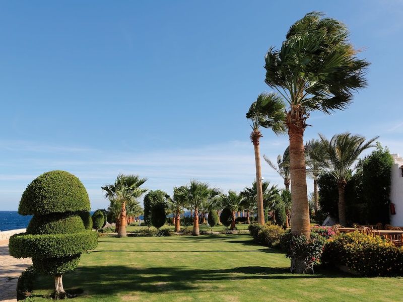 Sharm Club Beach Resort pas cher photo 9