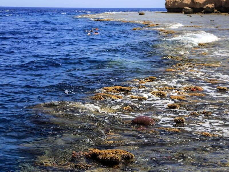 Sharm Club Beach Resort pas cher photo 47