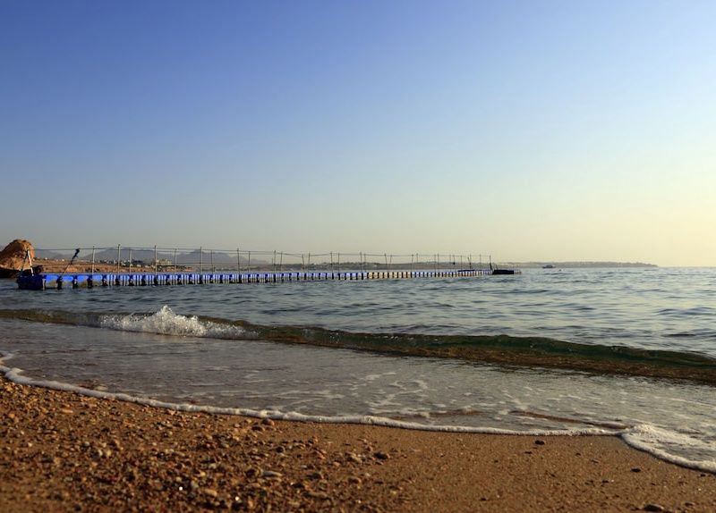 Sharm Club Beach Resort pas cher photo 63