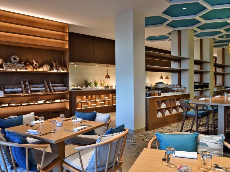 Hôtel Hilton Taghazout Bay Beach Resort 5* pas cher photo 14