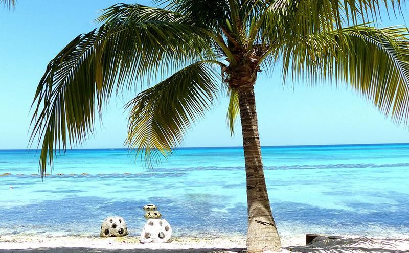 Combiné Novus Plaza Hodelpa 3* et Ôclub Zen HM Alma de Bayahibe Adult Only 4* pas cher photo 8