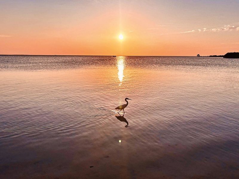 Hôtel Holbox, Île Lumière : Le secret du Yucatan 4* pas cher photo 7