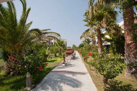 Hôtel Tigaki Beach 3* pas cher photo 8