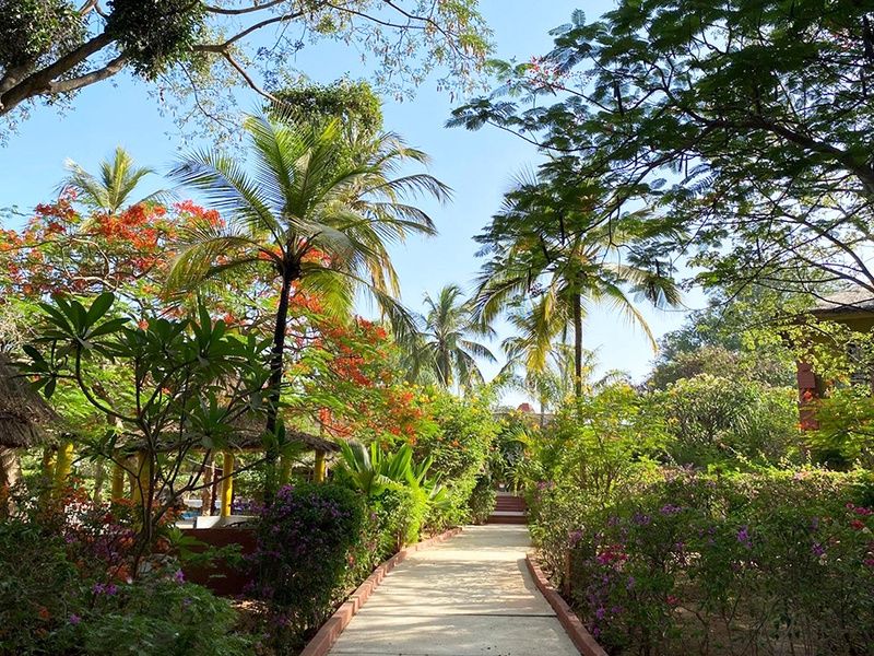 SÉNÉGAL | Saly - Ôclub Experience African Village Bougainvillées 3* pas cher photo 6