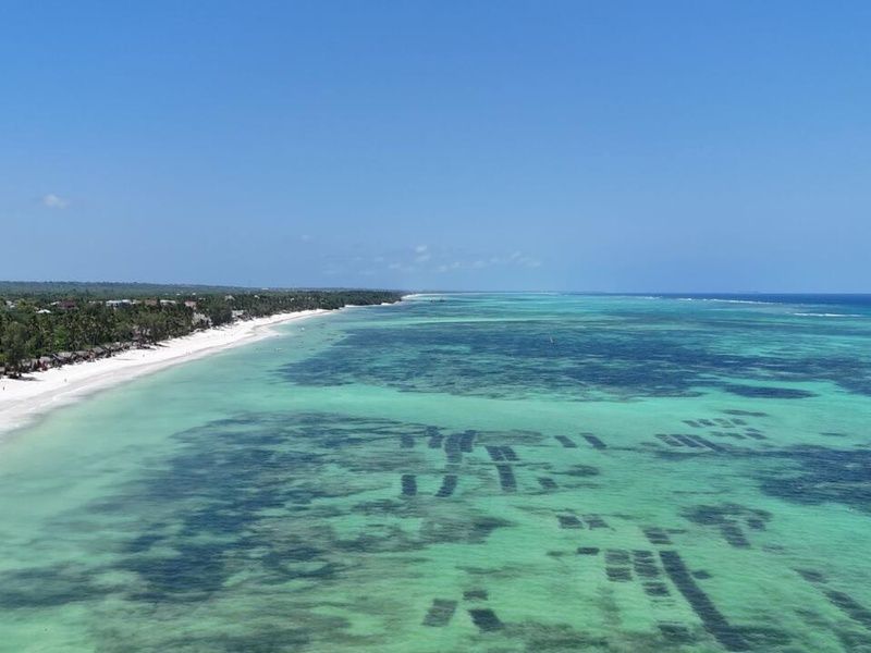 Hôtel Blue Bay Beach Resort & Spa 5* pas cher photo 10