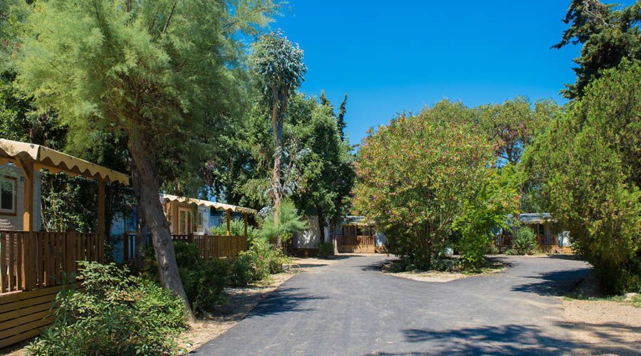 Camping Arinella Bianca 5* pas cher photo 1