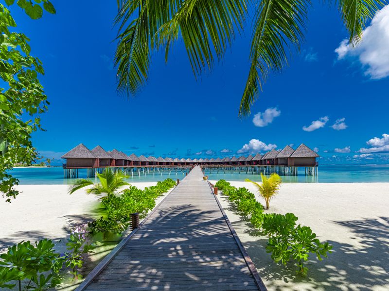Hôtel Sun Siyam Olhuveli 4* supérieur pas cher photo 9