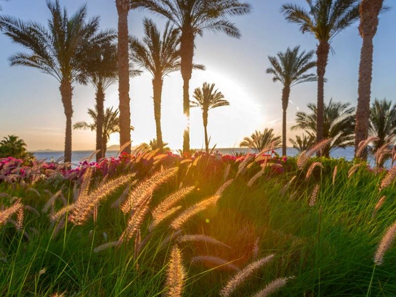 Hôtel Grand Rotana Resort & Spa 5* pas cher photo 17