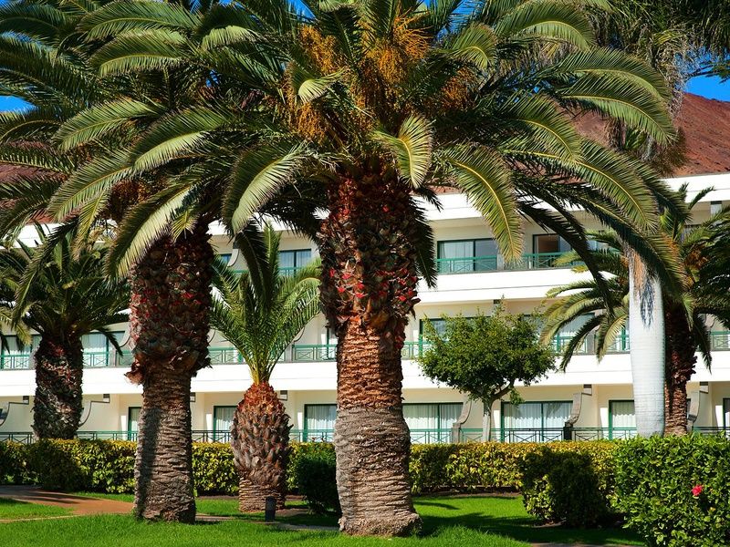 Hôtel Hipotels Natura Palace 4* - Adult Only pas cher photo 17
