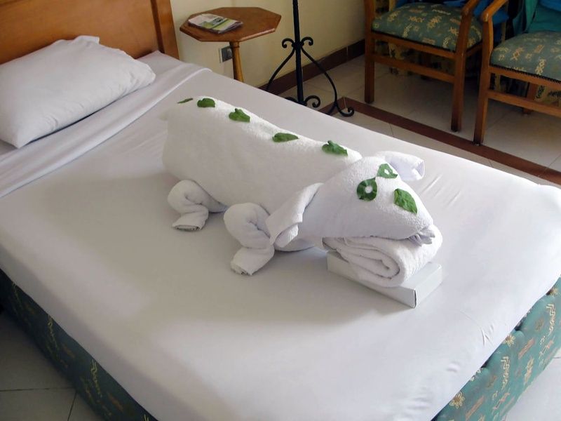Hôtel Dive Inn Resort 3* pas cher photo 3
