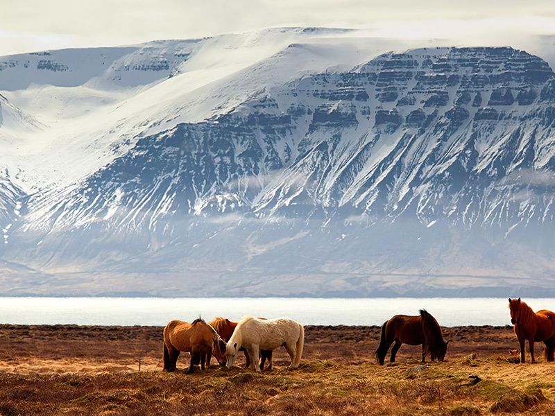 CITY BREAK 4 NUITS - BIEN-ÊTRE ET AURORES BORÉALES BY ÔVOYAGES pas cher photo 13