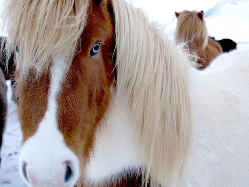 CITY BREAK 4 NUITS - BIEN-ÊTRE ET AURORES BORÉALES BY ÔVOYAGES pas cher photo 14