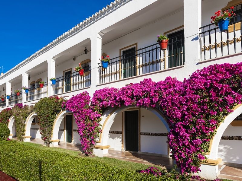 Hôtel TUI Sélection TUI Suneo Cortijo Blanco 3* pas cher photo 13