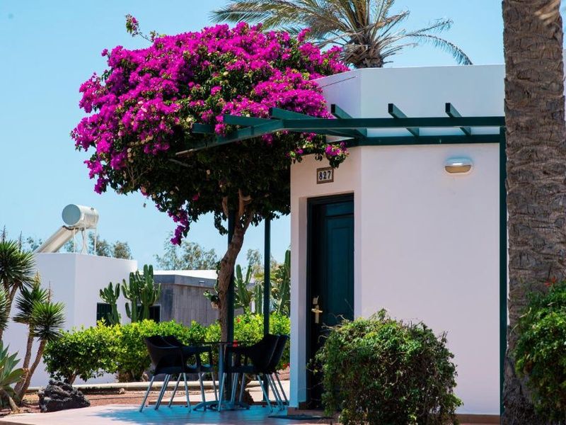 Hôtel Club Playa Blanca 4* pas cher photo 11