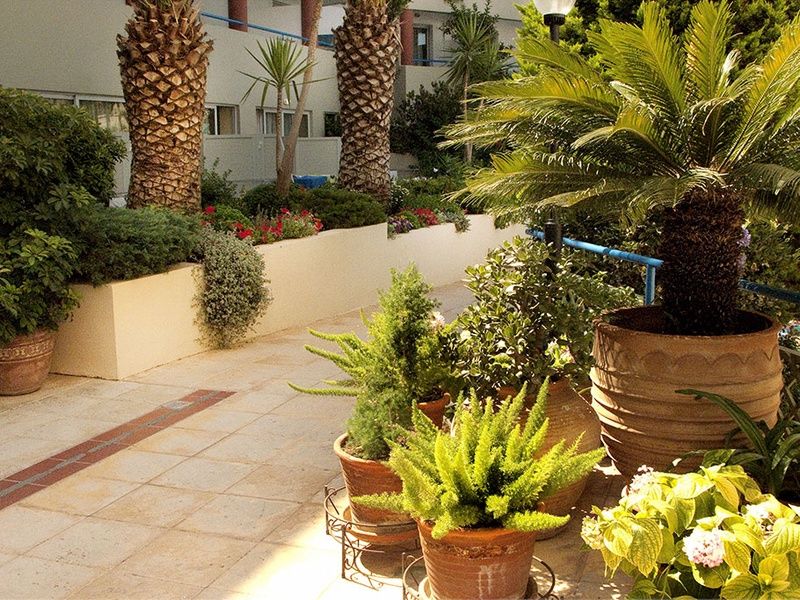 Hôtel Smart Club Ibiscos Garden 4* pas cher photo 4