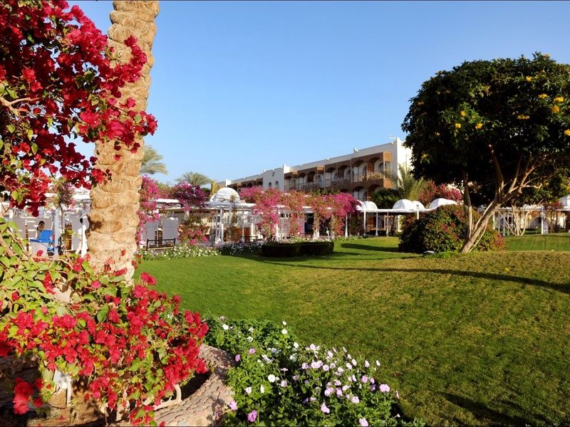 Hôtel Desert Rose 4* pas cher photo 4