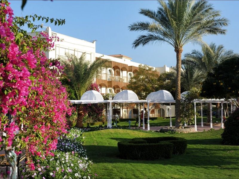 Hôtel Desert Rose 4* pas cher photo 5