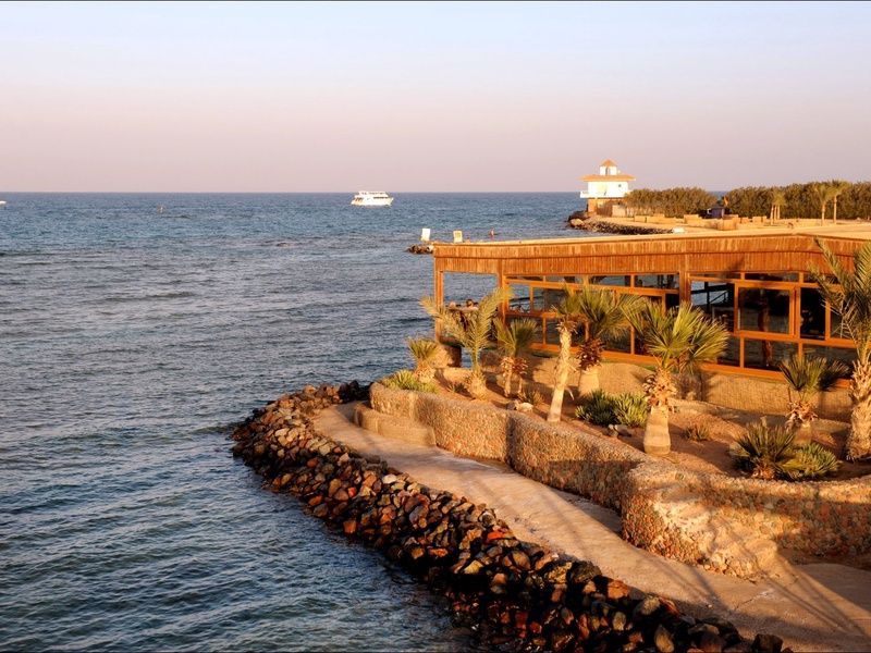 Hôtel Desert Rose 4* pas cher photo 40