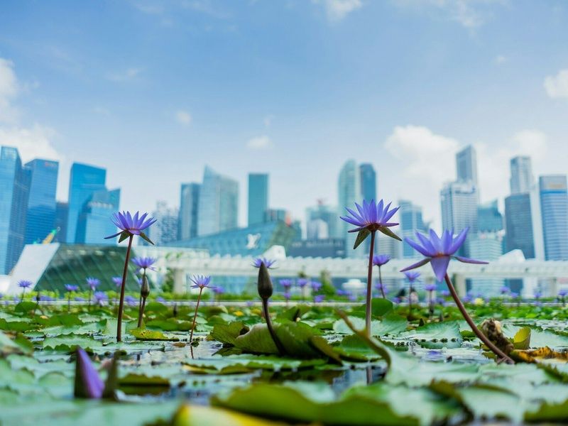 Séjour Singapour avec activités en 4* pas cher photo 6