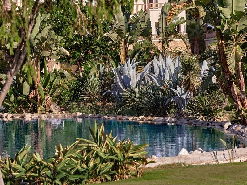Hôtel Grecotel Luxme Kos 5* pas cher photo 8