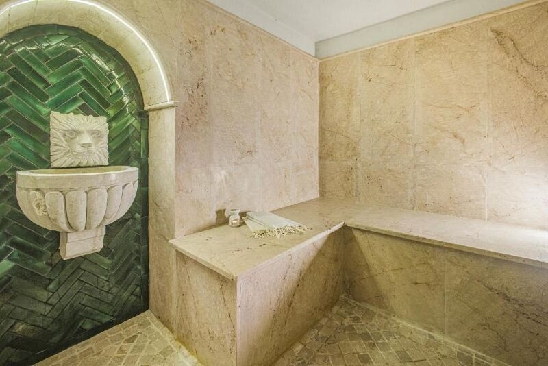 Hotel La Menara 5* pas cher photo 8