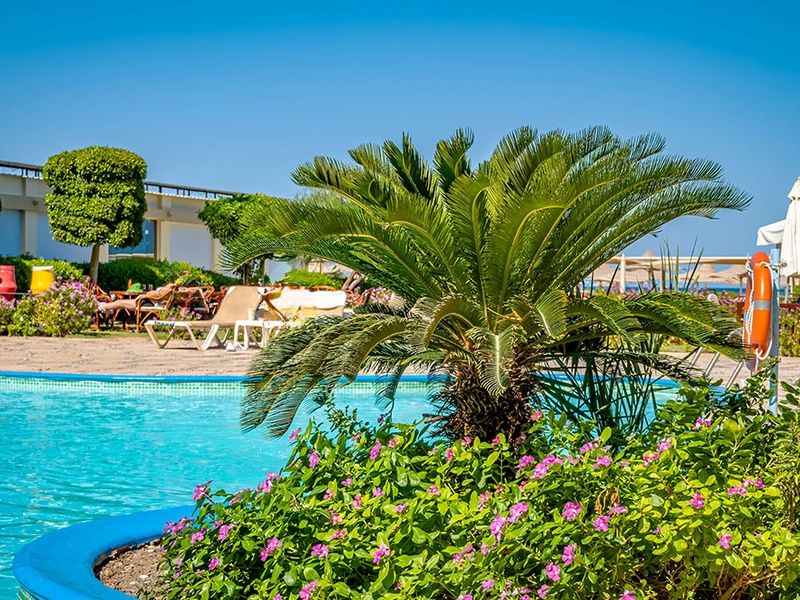 Smart club Magic Beach Hotel 4* pas cher photo 4