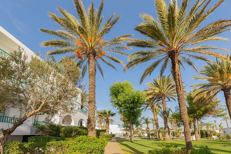 Hôtel El Mouradi Port El Kantaoui 4* pas cher photo 3