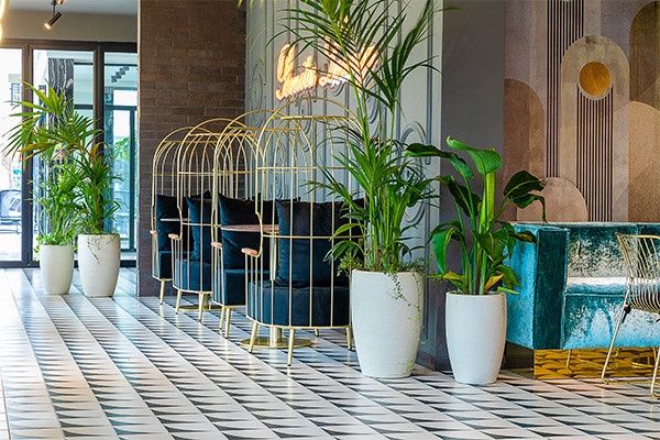 Club Framissima Bonita Luxury Resort 5* pas cher photo 24