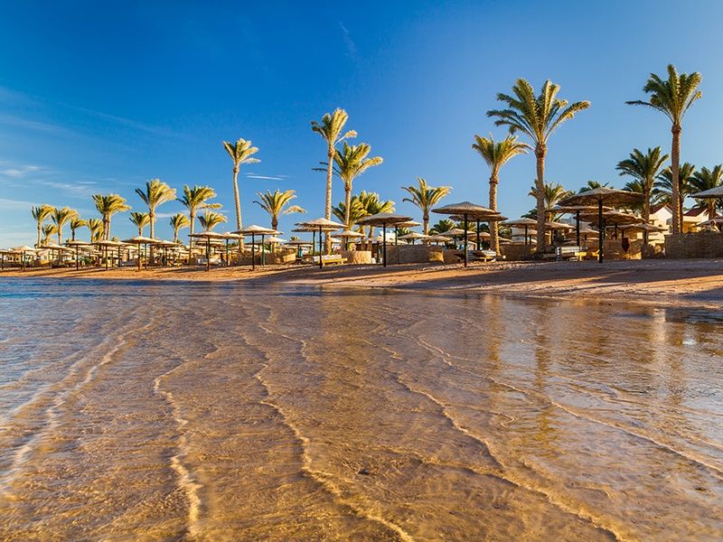Hôtel Dreams Beach Resort Sharm El Sheikh 5* pas cher photo 12