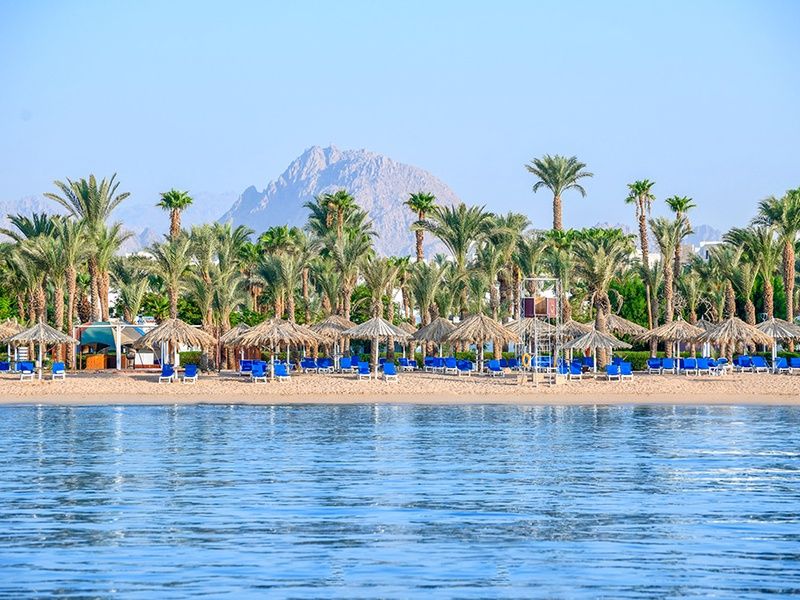 Hôtel Jaz Sharm Dreams 5* pas cher photo 2
