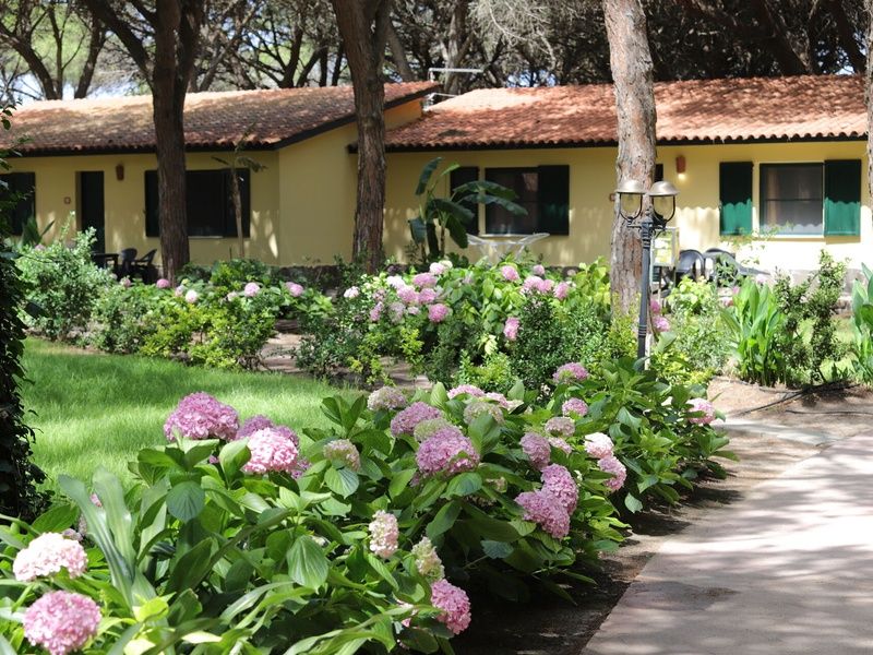 Club Coralia Horse Country Resort Congress & Spa 4* pas cher photo 5