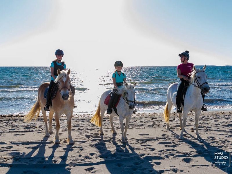Club Coralia Horse Country Resort Congress & Spa 4* pas cher photo 9
