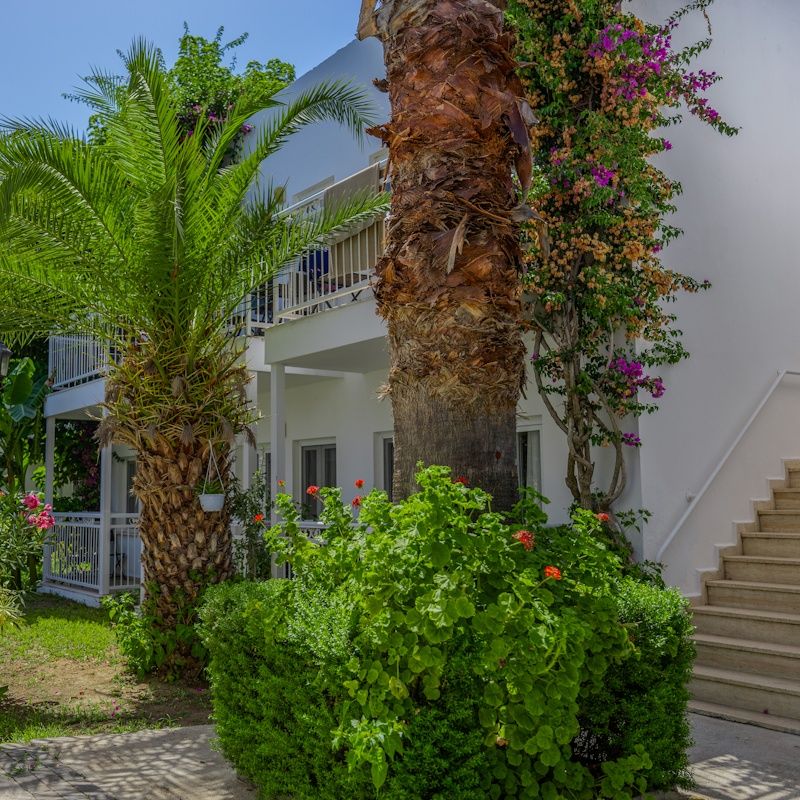 Hôtel Petunya Beach 4* pas cher photo 6