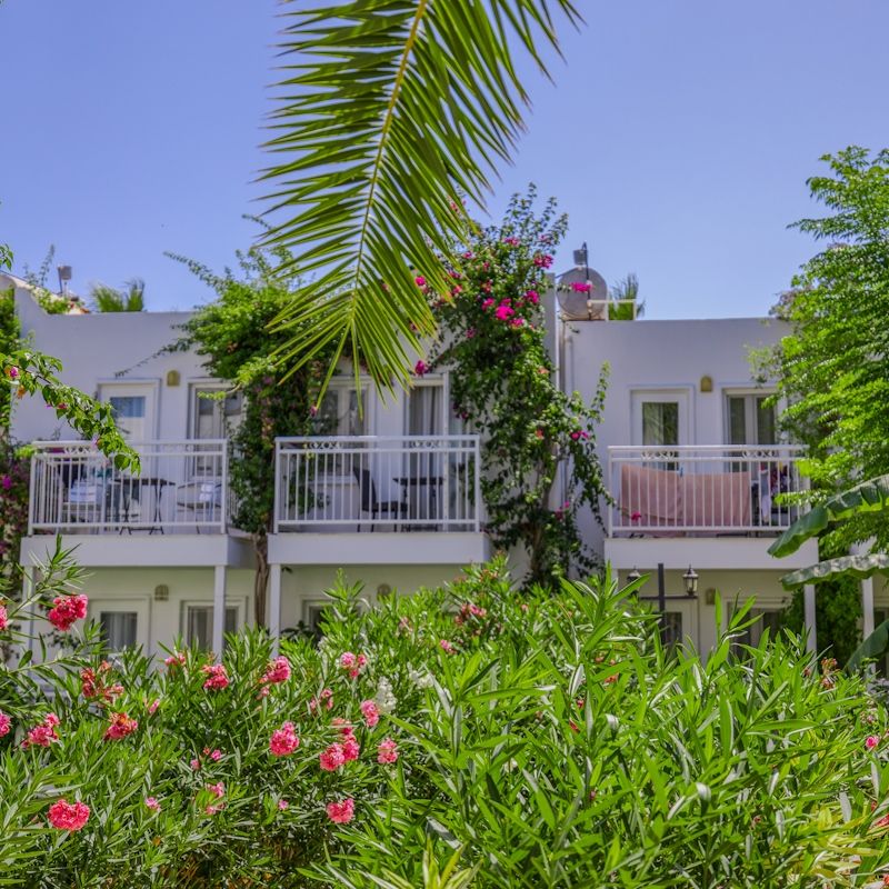 Hôtel Petunya Beach 4* pas cher photo 7