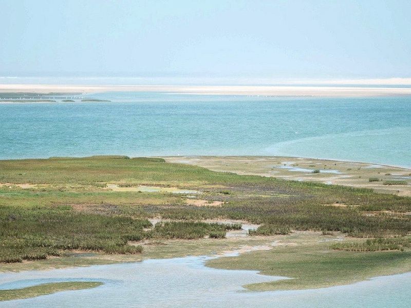 Ôclub Experience Mia Dakhla Resort 4* pas cher photo 16