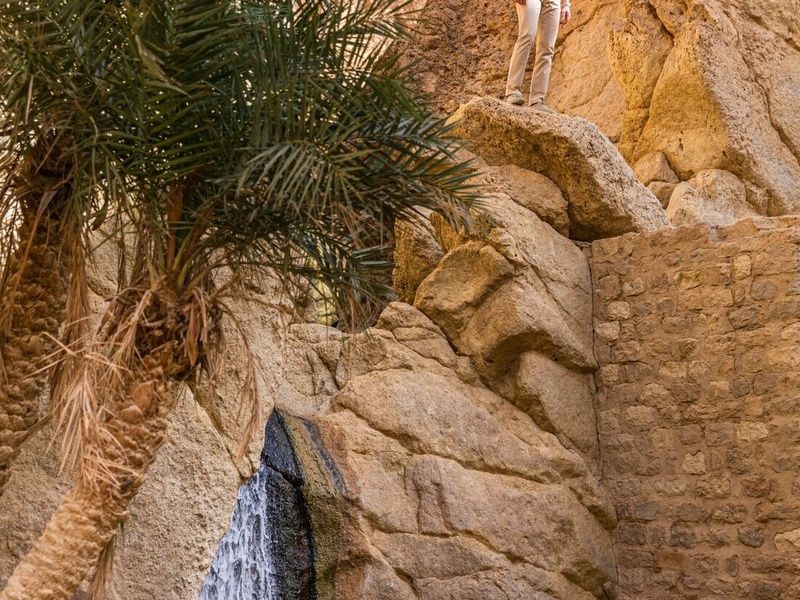 Hotel The Mora Sahara Tozeur 5* pas cher photo 18