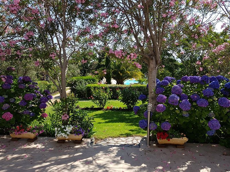 Résidence Casa Oleanda 3* ( avec vols réguliers ) pas cher photo 18