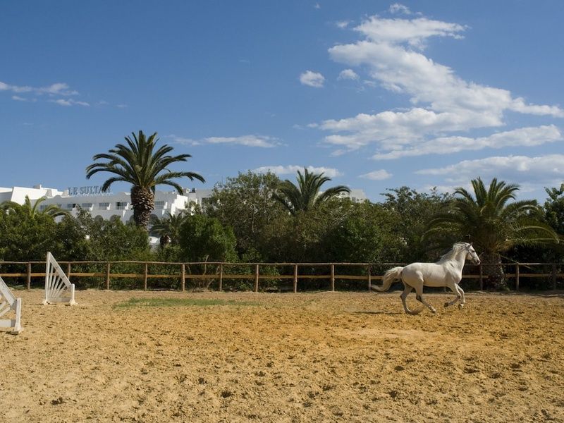 Hôtel La Badira - Adult Only 5*(nl) pas cher photo 40