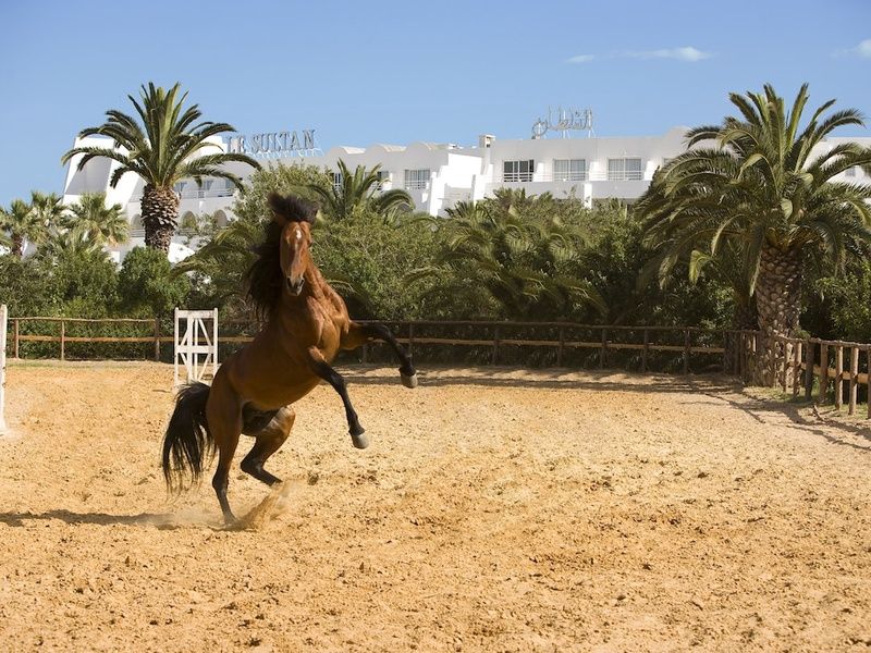 Hôtel La Badira - Adult Only 5*(nl) pas cher photo 42