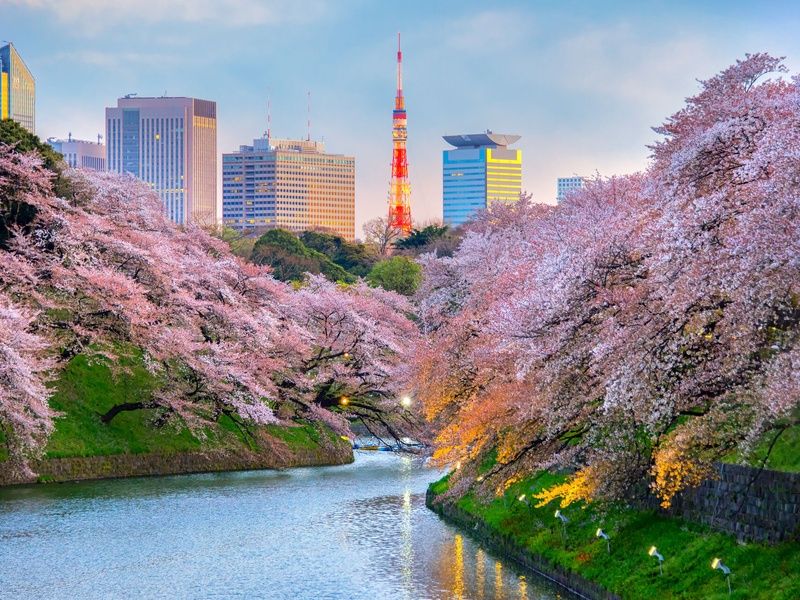 Les classiques du Japon avec étape à Séoul : circuit individuel en 3* pas cher photo 17