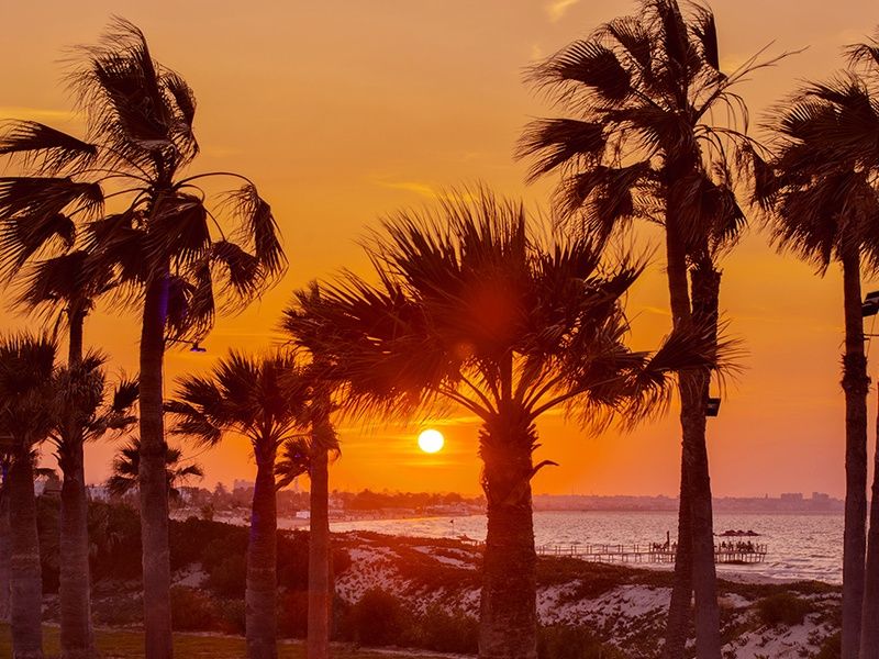 Hôtel Hilton Skanes Monastir Beach Resort 5* pas cher photo 17