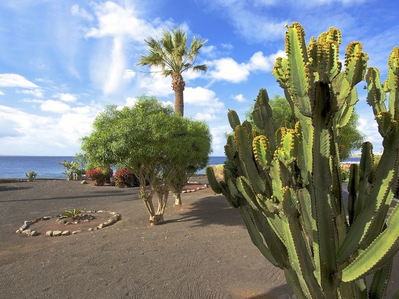 Hôtel Iberostar Selection Lanzarote Park 5* pas cher photo 9