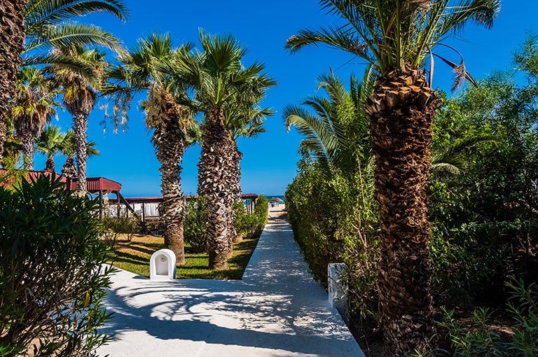 Hôtel Yadis Hammamet 4* pas cher photo 21